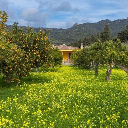 A Charming Country Cottage + Bikes And Kayaks Боза Екстер'єр фото