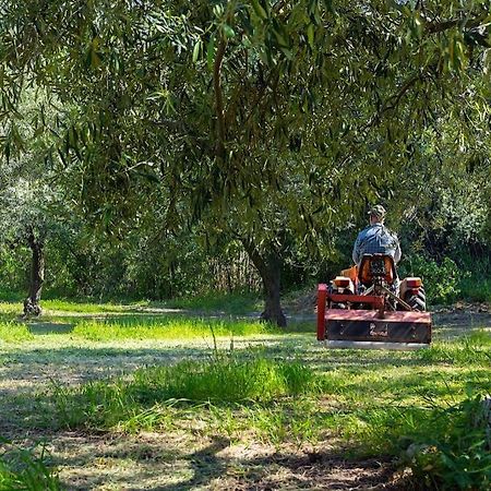 A Charming Country Cottage + Bikes And Kayaks Боза Екстер'єр фото