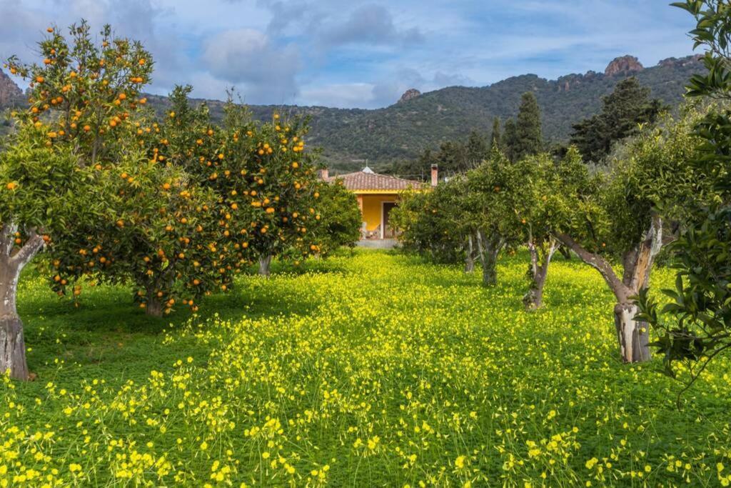 A Charming Country Cottage + Bikes And Kayaks Боза Екстер'єр фото