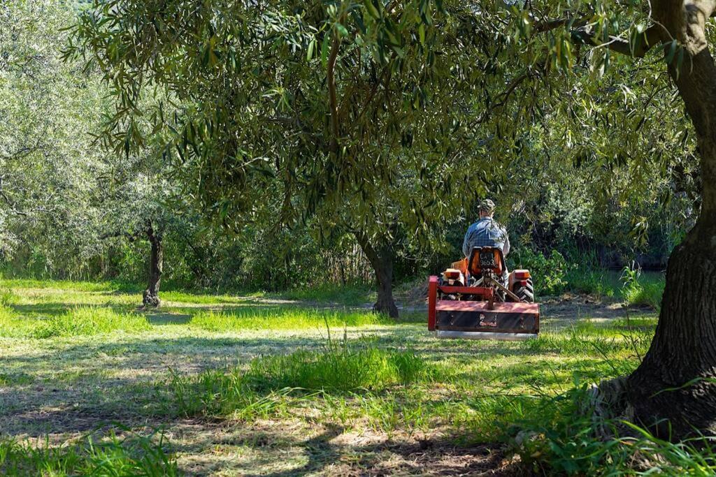 A Charming Country Cottage + Bikes And Kayaks Боза Екстер'єр фото