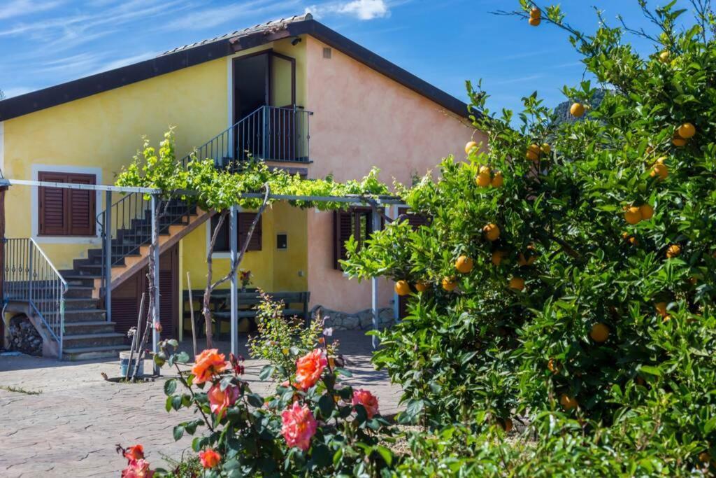 A Charming Country Cottage + Bikes And Kayaks Боза Екстер'єр фото