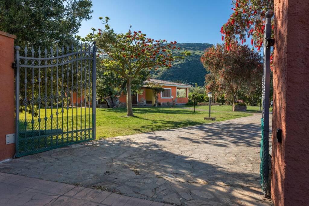 A Charming Country Cottage + Bikes And Kayaks Боза Екстер'єр фото