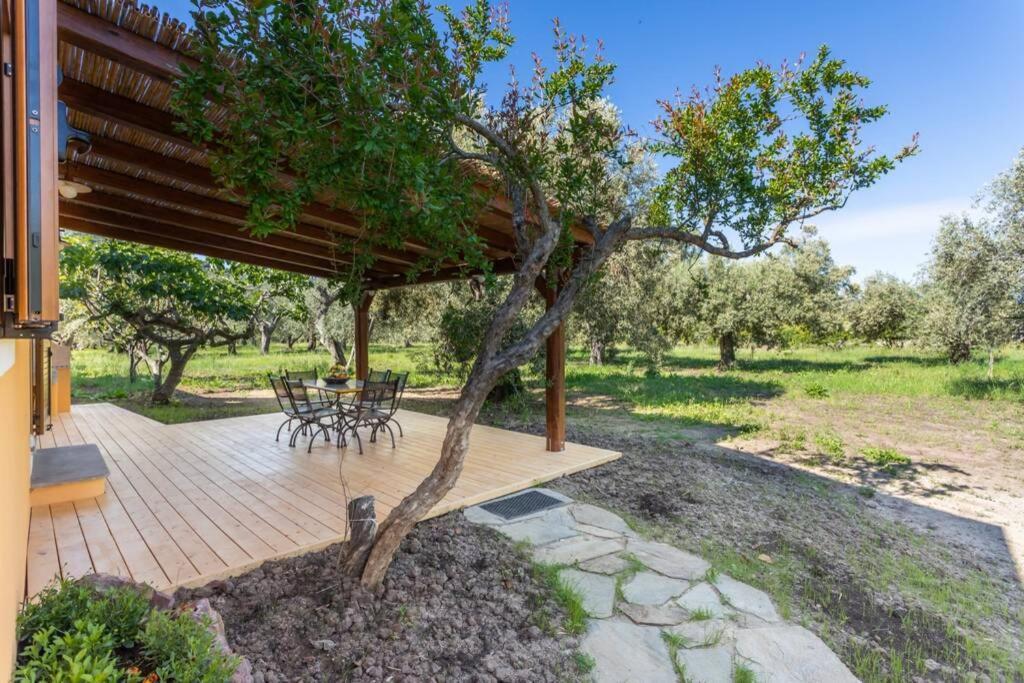 A Charming Country Cottage + Bikes And Kayaks Боза Екстер'єр фото